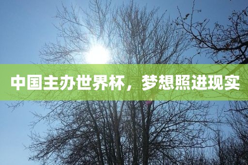 中国主办世界杯，梦想照进现实