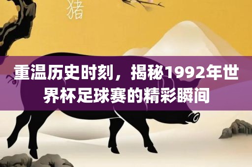 重温历史时刻，揭秘1992年世界杯足球赛的精彩瞬间漯河市盈旭机械设备有限公司