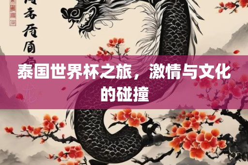 泰国世界杯之旅，激情与文化的碰撞