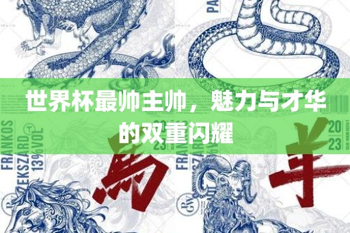 世界杯最帅主帅，漯河市盈旭机械设备有限公司魅力与才华的双重闪耀