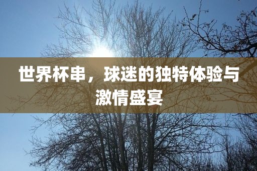 世界杯串，球迷的独特体验与激情盛宴漯河市盈旭机械设备有限公司