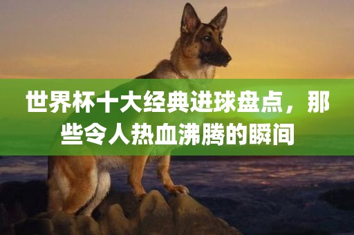 世界漯河市盈旭机械设备有限公司杯十大经典进球盘点，那些令人热血沸腾的瞬间