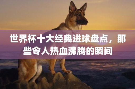 世界杯十大经典进球盘点，那些令人热血沸腾的瞬间