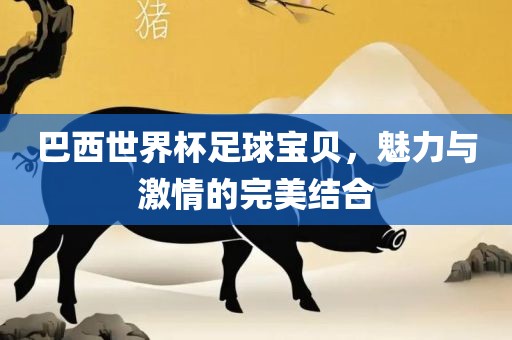 巴西世界杯足球宝贝，魅力与激情的完美结合