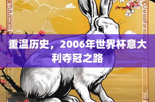 重温历史，2006年世界杯意大利夺冠之路漯河市盈旭机械设备有限公司