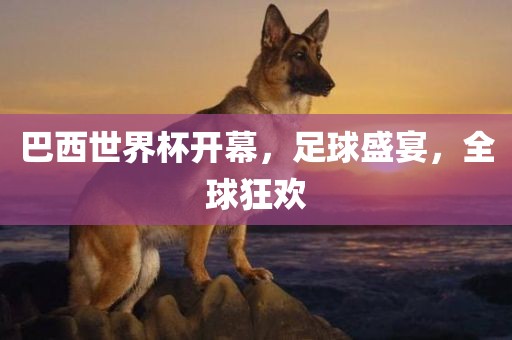 巴西世界杯开幕，足球盛宴漯河市盈旭机械设备有限公司，全球狂欢