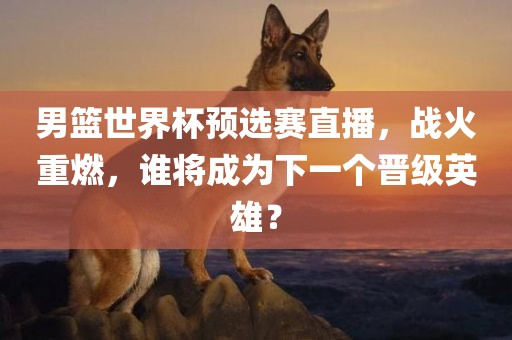 男篮世界杯预选赛直播，战火重燃，谁将成为下一个晋级英雄？
