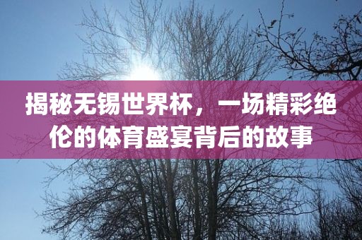 揭秘无锡世界杯，一场精彩绝伦的体育盛宴背后的故事漯河市盈旭机械设备有限公司