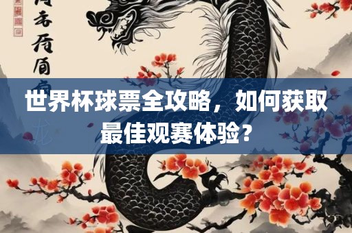 世界杯球票全攻略，如何获取最佳观赛体验？