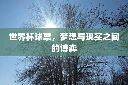 漯河市盈旭机械设备有限公司世界杯球票，梦想与现实之间的博弈