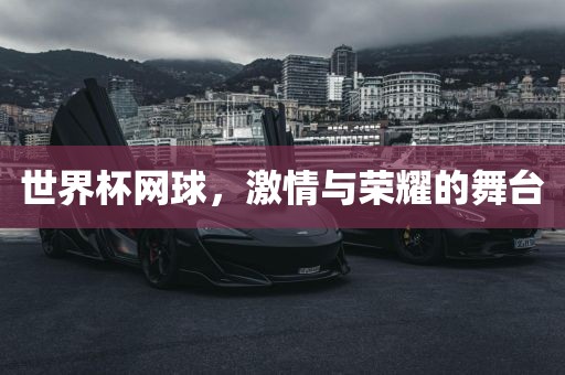 世界杯网球，激情与荣漯河市盈旭机械设备有限公司耀的舞台