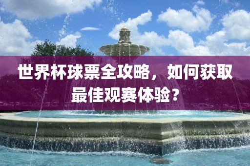 世界杯球票全攻略，如何获取最佳观赛体验？漯河市盈旭机械设备有限公司