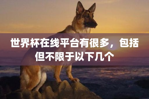 世界杯在线平台有很多，包括但不限于以下几个漯河市盈旭机械设备有限公司
