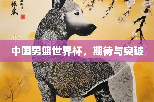 中国男篮世界杯，期待与突破