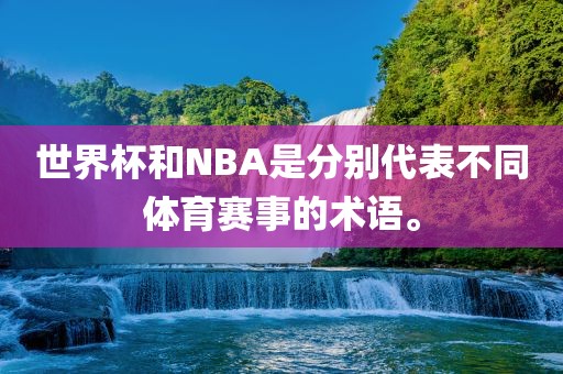 世界杯和NBA是分别代表不同体育赛事的术语。