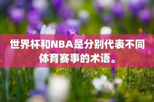 世界杯和NBA是分别代表不同体育赛事的术语。