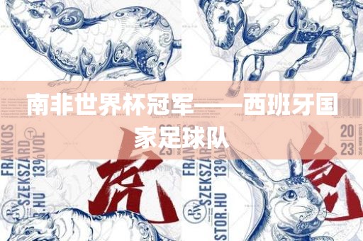 南非世界杯冠军——西班牙国家足球队漯河市盈旭机械设备有限公司
