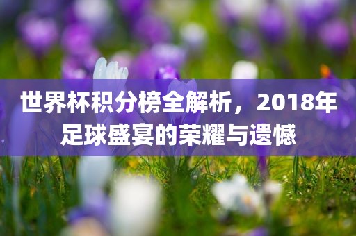 世界杯积分榜全解析，2018年足球盛宴的荣耀与遗憾