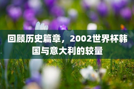 回顾历史篇章，2002世界杯韩国与意大利的较量漯河市盈旭机械设备有限公司