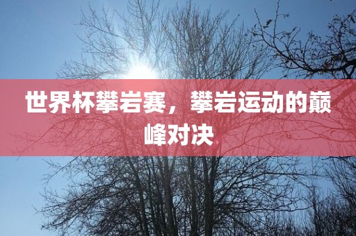 世界杯攀岩赛，攀岩运动的巅峰对决漯河市盈旭机械设备有限公司