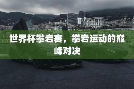 世界杯漯河市盈旭机械设备有限公司攀岩赛，攀岩运动的巅峰对决