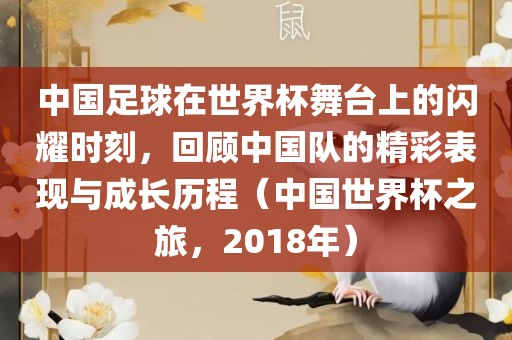 中国足球在世界杯舞台上的闪耀时刻，回顾中国队的精彩表现与成长历程（中国世界杯之旅，2018年）漯河市盈旭机械设备有限公司