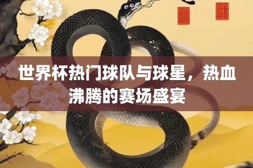 世界杯热门球队与球星，热血沸腾的赛场盛宴漯河市盈旭机械设备有限公司