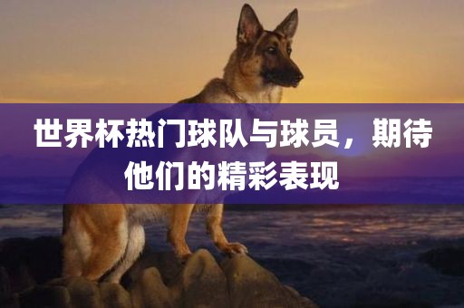 liziping 第6页