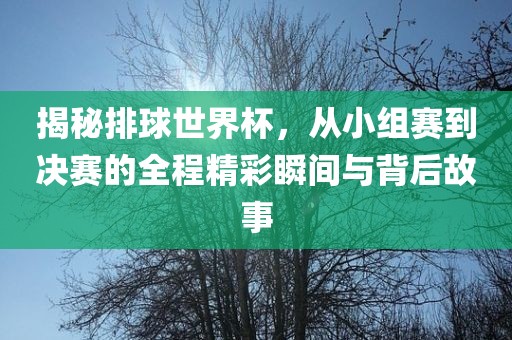 chenweixia 第8页