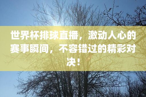 世界杯排球直播，漯河市盈旭机械设备有限公司激动人心的赛事瞬间，不容错过的精彩对决！