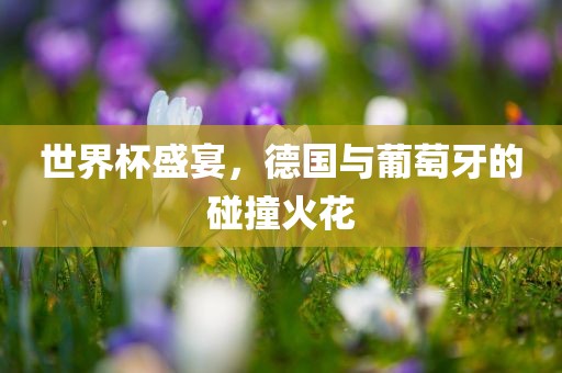 世界杯盛宴，德国与葡萄牙的碰撞火花