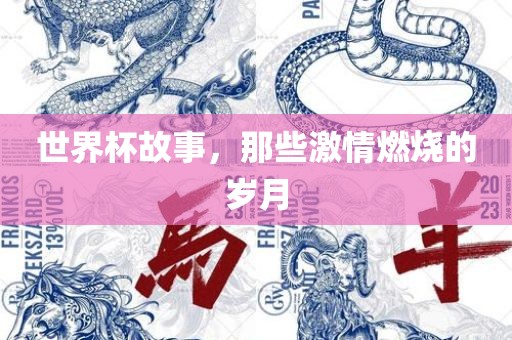 世界杯故事，那些激情燃烧的岁月
