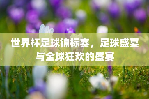 世界杯足球锦标赛，足球盛宴与全球狂欢的盛宴漯河市盈旭机械设备有限公司