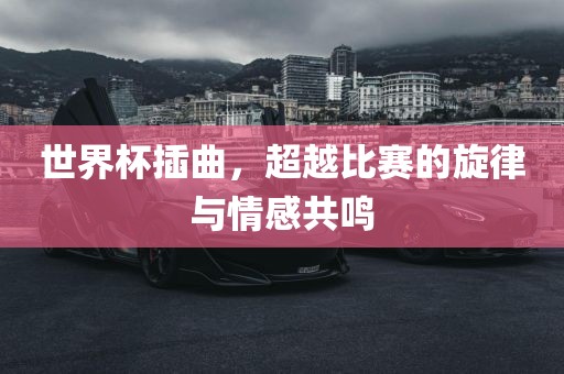 世界杯插曲，超越比赛的旋律与情感共鸣漯河市盈旭机械设备有限公司