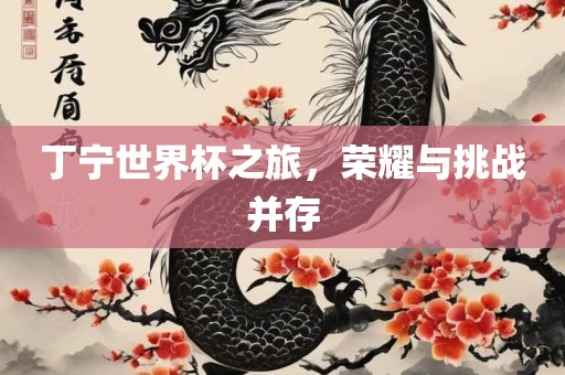 丁宁漯河市盈旭机械设备有限公司世界杯之旅，荣耀与挑战并存