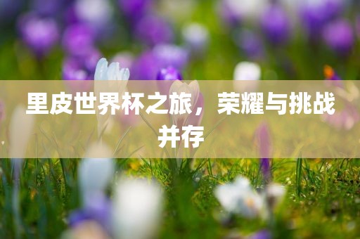 里皮世界杯之旅，荣耀与挑战并存