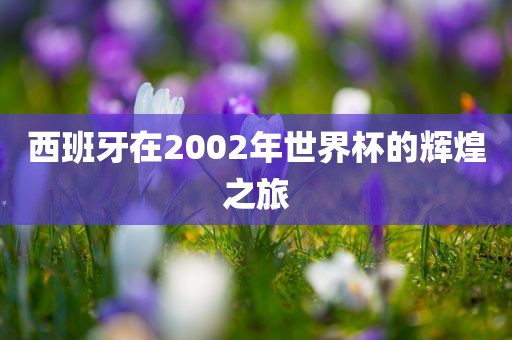 西班牙在2002年世界杯的辉煌之旅