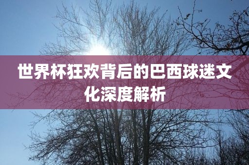 世界杯狂欢背后的巴西球迷文化深度解析漯河市盈旭机械设备有限公司