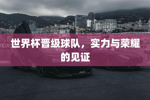 世界杯晋级球队，实力与荣耀的见证漯河市盈旭机械设备有限公司