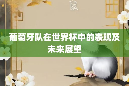 葡萄牙队在世界杯中的表现及未来展望