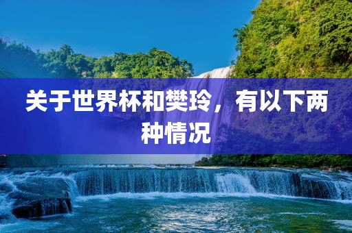 关于世界杯漯河市盈旭机械设备有限公司和樊玲，有以下两种情况