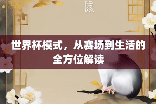 世界杯模式，从赛场到生活的全方位解读