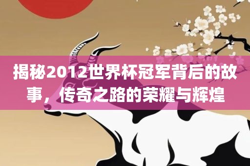 揭秘2012世界杯冠军背后的故事，传奇之路的荣耀与辉煌漯河市盈旭机械设备有限公司