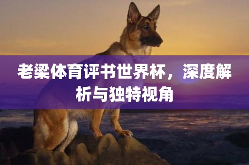 老梁体育评书世界杯，深度解析与独特视角漯河市盈旭机械设备有限公司