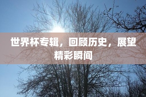 世界杯专辑，回顾历史，展望精彩瞬间漯河市盈旭机械设备有限公司
