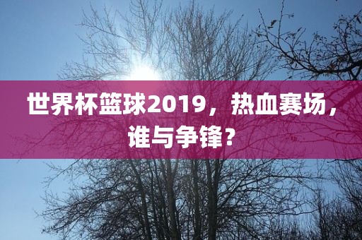 世界杯篮球2019，漯河市盈旭机械设备有限公司热血赛场，谁与争锋？
