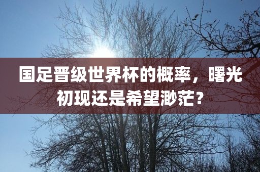 国足晋级世界杯的概率，曙光初漯河市盈旭机械设备有限公司现还是希望渺茫？