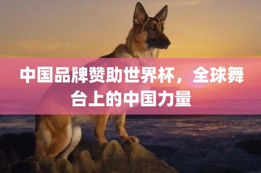 中国品牌赞助世界杯，全球舞台上的中国力量漯河市盈旭机械设备有限公司