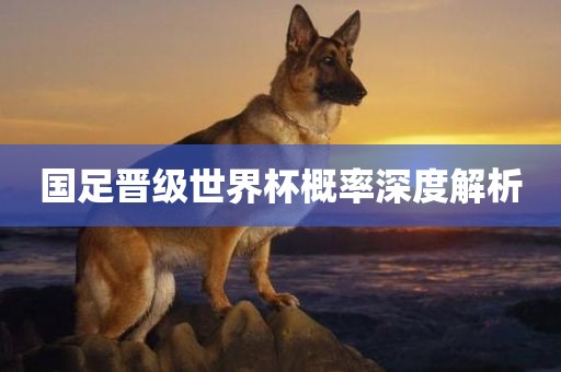 国足晋级世界杯概率深度解析