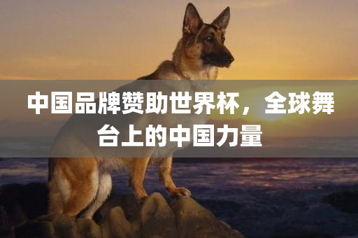中国品牌赞助世界杯，全球舞台上的中国力量漯河市盈旭机械设备有限公司